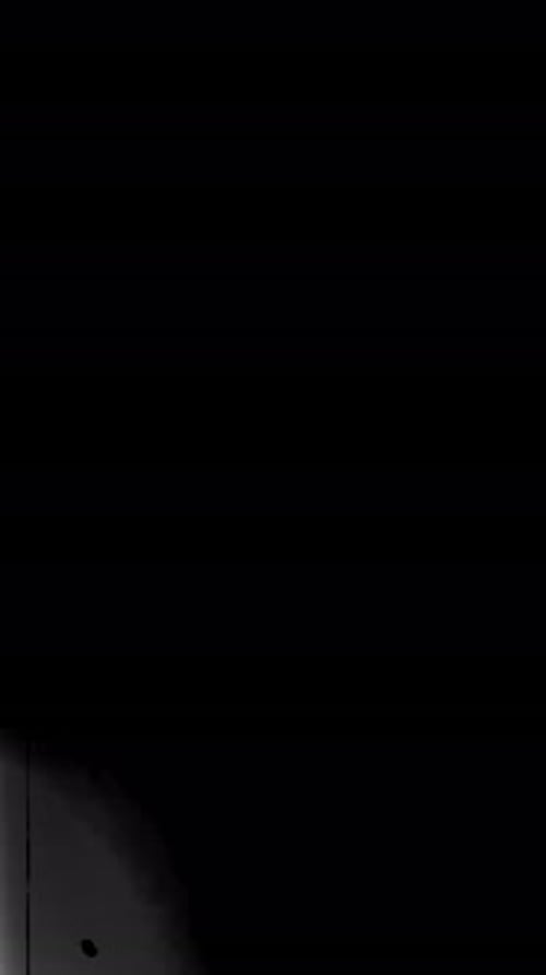 Black White Retro Screen Protector Film AntiScratch Dust Overlay