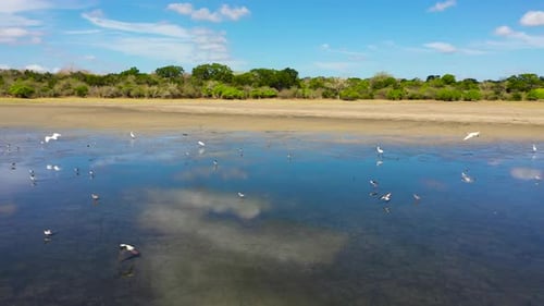 Tropical Landscape with a Lake Sri Lanka