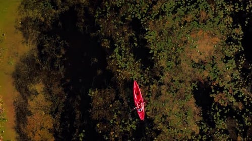 Kayaking in river at summer, top view.