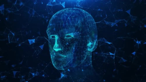 Digital Human Head Wireframe Network Futuristic Technology Loop