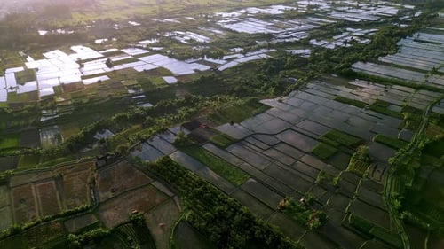 Green Nature Landscape of Rice Fields and Husbandry in Farm Environment at Bali
