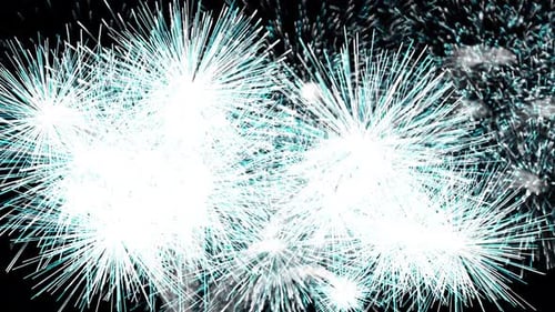 Abstract Multicolored Realistic Fireworks On Black Background, Firework At Nigh In The Sky Celebrati