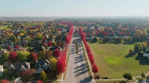 Beaut Scenic Suburban Street Surrounded By Vibrant Red and Yellow Autumn Trees Warm Fall Colors