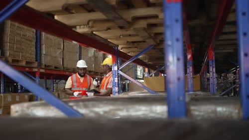 Logistics employees are working warehouse.
