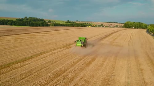 Combine Harvester Working in Golden Wheat Field