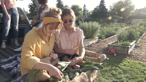 Friends with Basket of Fresh Vegetables on Rear of Pickup Truck Abundance