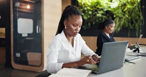 Professional Women Working on Laptops in Modern Office