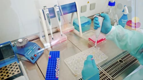 Manos con guantes protectores azules del asistente médico que trabaja con tubos de ensayo.