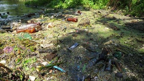 A Lot of Trash is Dumped in Open and Freely Available Places at Nature Dirty River is Polluted with