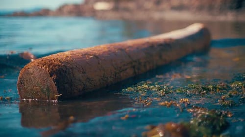 Primer plano de un tronco de madera flotante en el agua cerca de la orilla del mar
