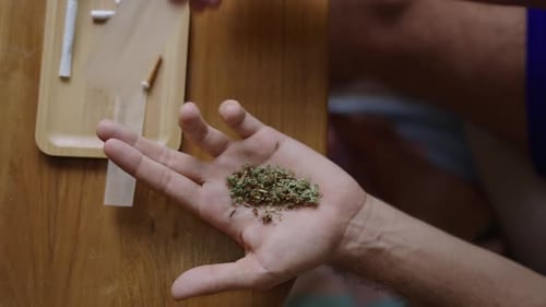 Close Up of Man Hands Rolling a Joint