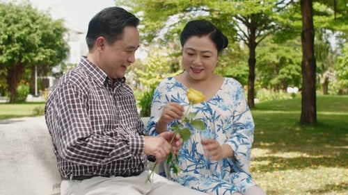 Excited Wife Taking Rose as Gift from Husband in Park
