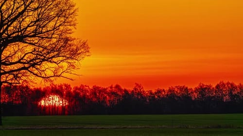Leuchtend orangefarbener Sonnenaufgang über einem ruhigen Feld, Bäume als Silhouetten vor dem Morgenhimmel, Zeitraffer