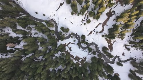 Serene Snow-Clad Amden Weesen Pines, Aerial Vista swiss alps
