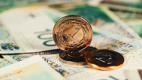 Polish Zloty Banknotes and Coins