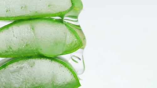 Aloe Vera Slices with Refreshing Water Droplets