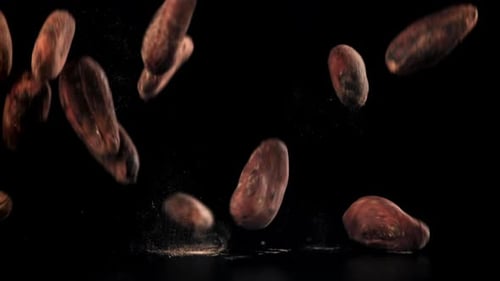 Cocoa Beans Fall on the Table Filmed on a Highspeed Camera at 1000 Fps