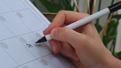 Female Hand Writing Word PAY DEBT with Marker on Monthly PLANNER