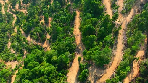 Aerial drone capture of hillside deforestation with winding roads.