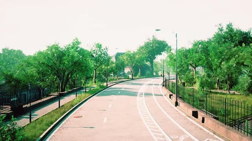 Country Asphalt Road and Green Trees Nature Landscape in the Summer