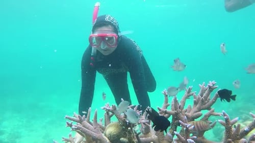 Snorkeler Exploring Coral Reef with Tropical Fish