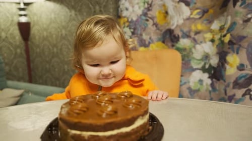 Happy Child Looking at Cake Indoors
