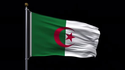 Algeria Flag Animation with Transparent 4K