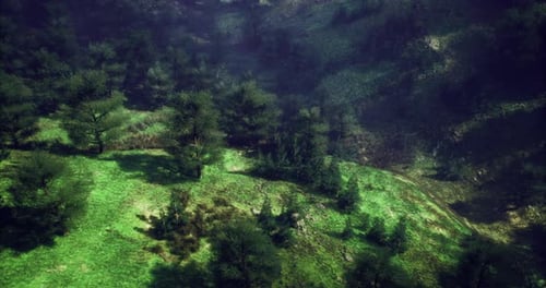 Lush Green Hills with Scattered Trees Under Soft Sunlight in Nature