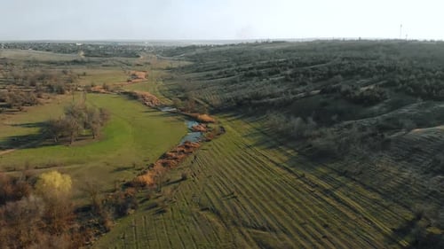 Drone View on Green Valley with Dried River and Reeds Near Grove on Slope