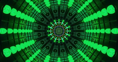 Symmetrical Neon Oasis