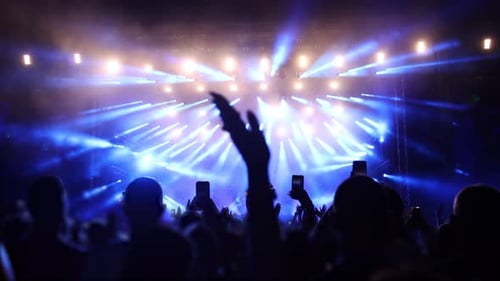 Excited Crowd Enjoying a Music Concert at Night