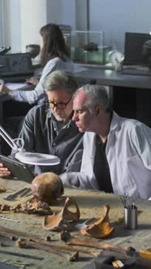 Archeologists Examining Bones in Bright Laboratory