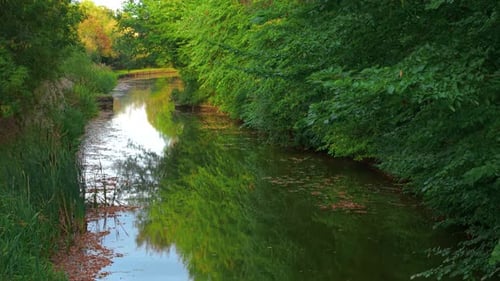 Sonniger Fluss, der helles Grün und sanfte Herbstfarben auf der Oberfläche reflektiert, Flusslandschaft fließt