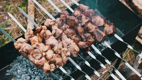 Shish Kebabs on Skewers are Cooked on the Grill in Nature Outdoors