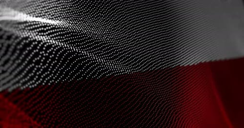 Drapeau de la Pologne agitant un bruit de pépin