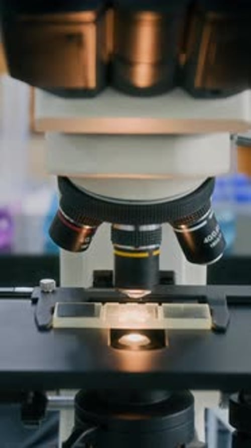 Close-up of Glass Slide with Test Sample under Microscope during Analysis