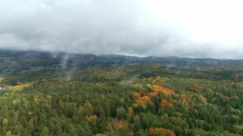 Autumn Forest With Clouds And Fog - Aerial Drone Shot
