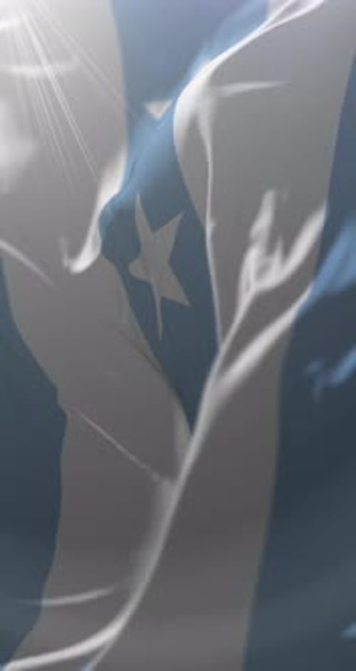Waving Somalia Flag Animated Vertical Background with Sun Flare
