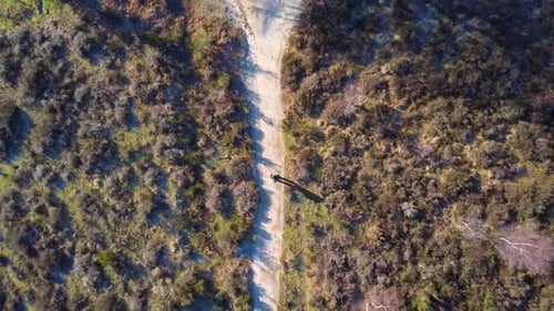 Drone shot from above in nature with a person walking on a path.