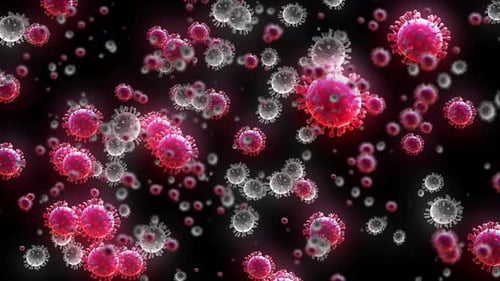 Animated Red and Grey Virus Particles Flowing
