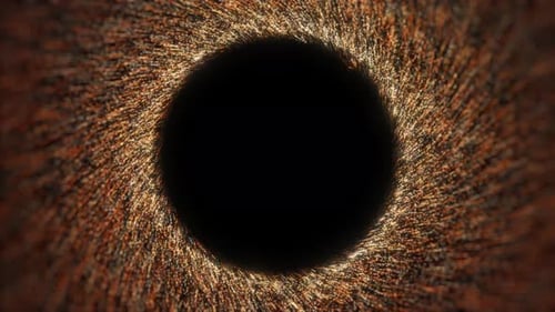 Golden particles swirl in mesmerizing vortex with empty copyspace in center.