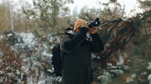 Photographer Captures Winter Forest Scene