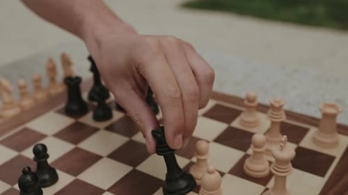 Im Schach einen Zug machen