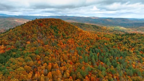 Colorful woods cover the mountains. Drone footage rising above the scenery under the overcast sky.