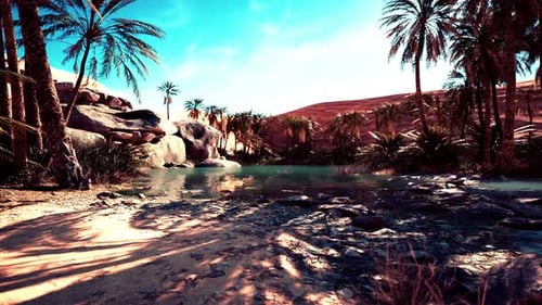 An Desert Oasis in the Oman