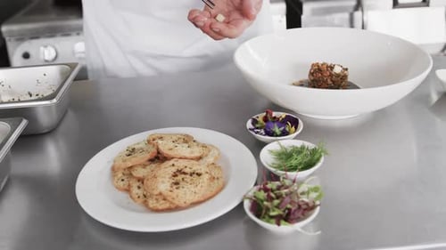 Chef Plates Exquisite Dish in Professional Kitchen