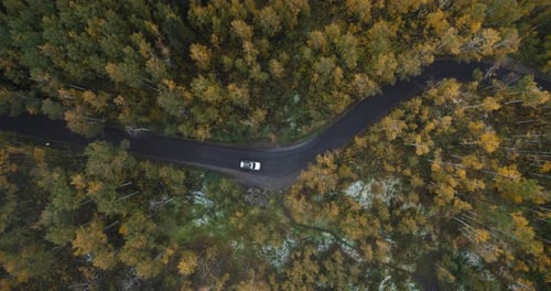 Aerial fall top down shot following car drive on Alpine loop road canyon