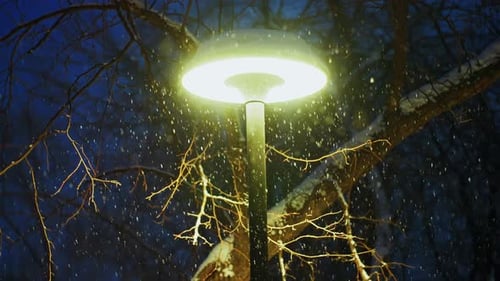 Street Lamp Glows During Winter Snowfall at Night