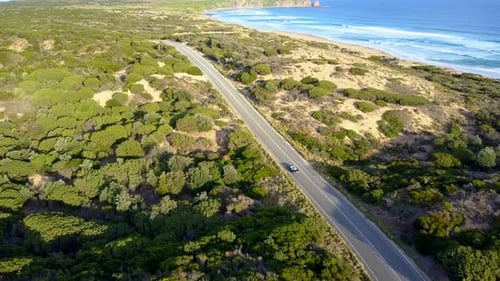 Aerial shot of a black vintage car on a beach road.