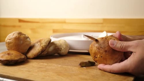 12 1Mushrooms are cut into pieces and left to dry. Drying and harvesting of mushrooms.